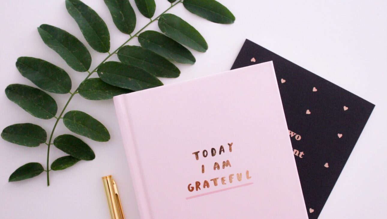 Take the Gratitude Challenge